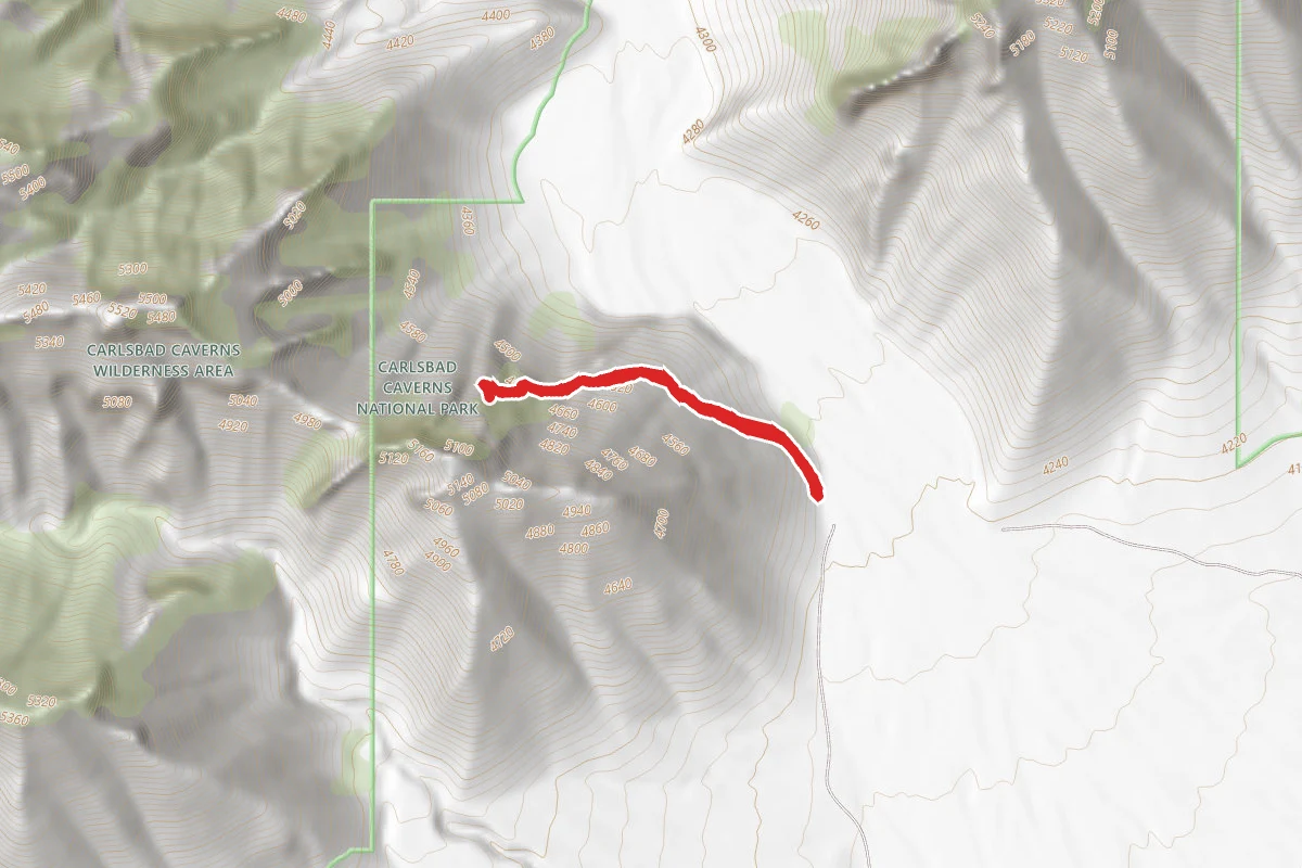 Slaughter Canyon Cave Trail