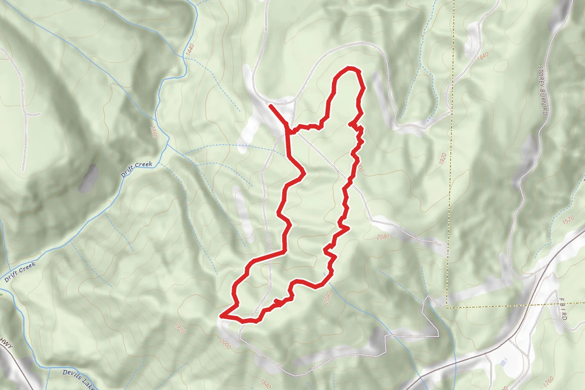 Sickter Lars Loop