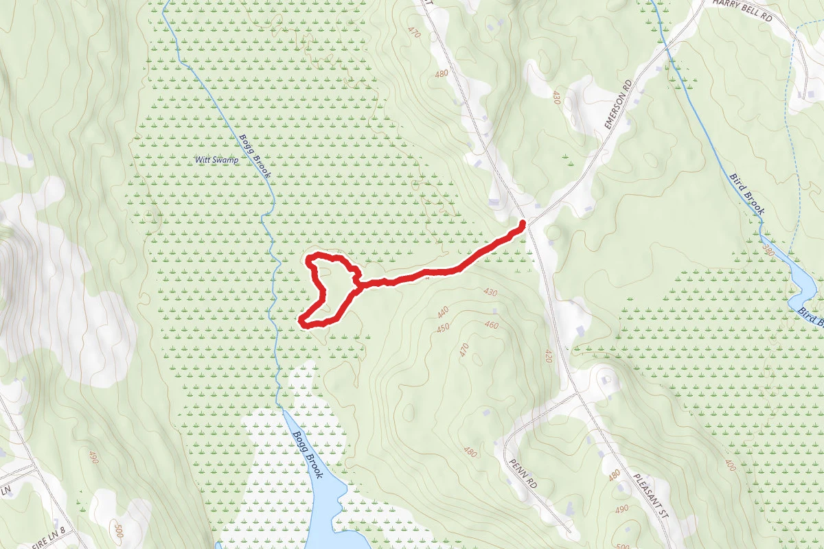 Witt Swamp Preserve Loop