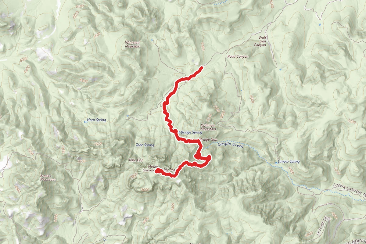 Baldy Peak-Mount Livermore