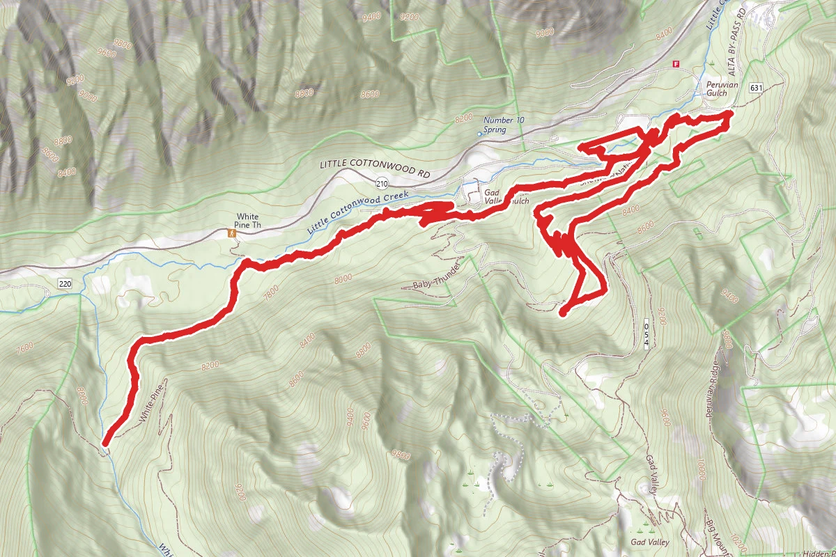 Chauner's Loop and White Pine Trail
