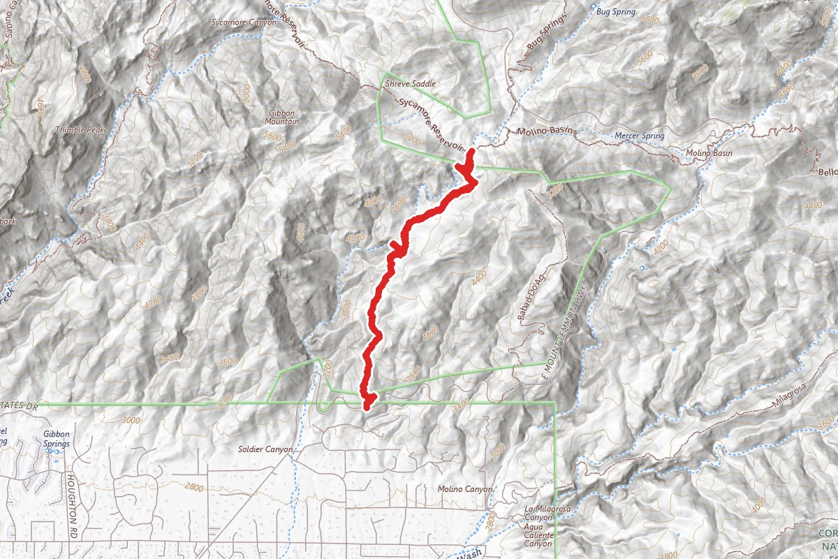Soldier Trail
