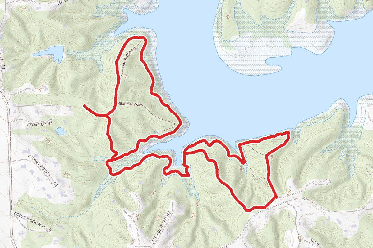 Squire Shore, Weasel Run, Mushroom Forest Trail
