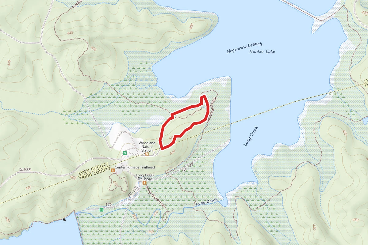 The Woodland Walk Trail