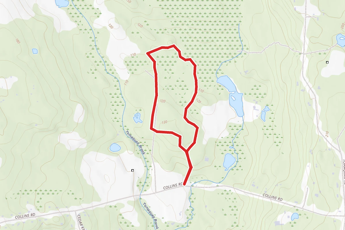 Beaver Flood Trail