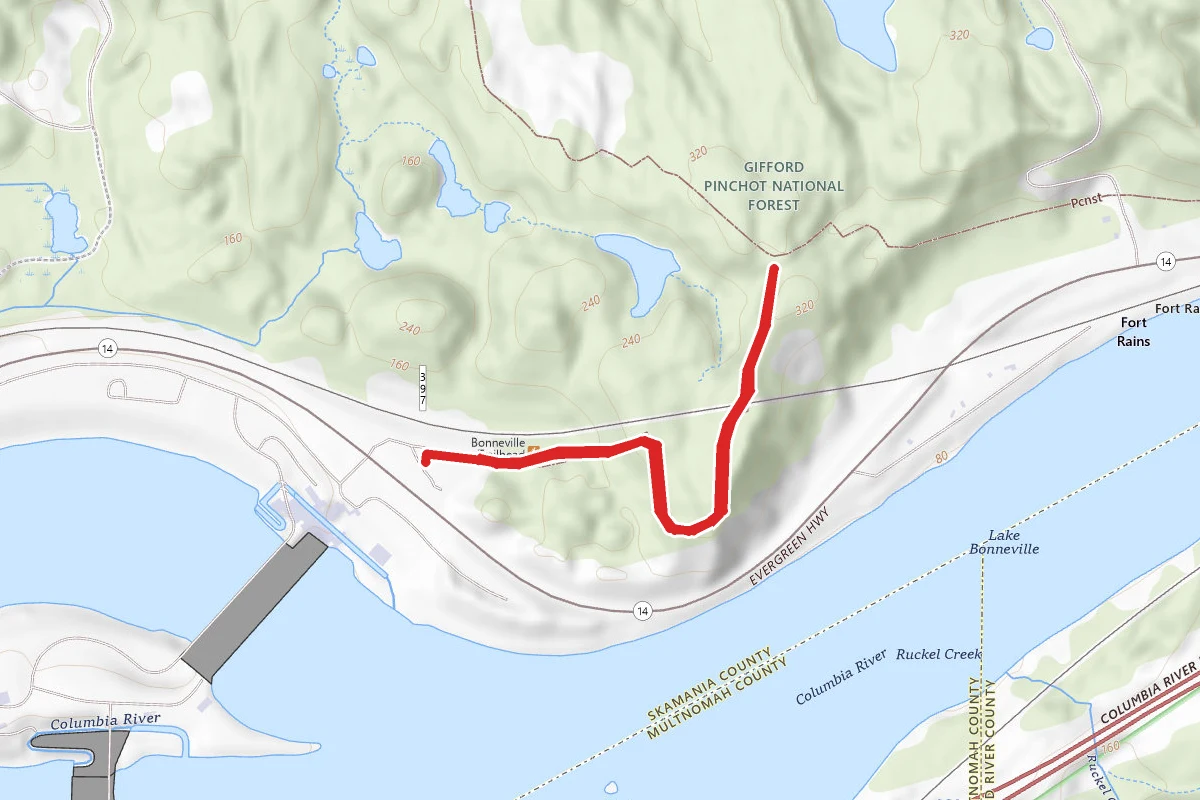 Tamanous Trail #27