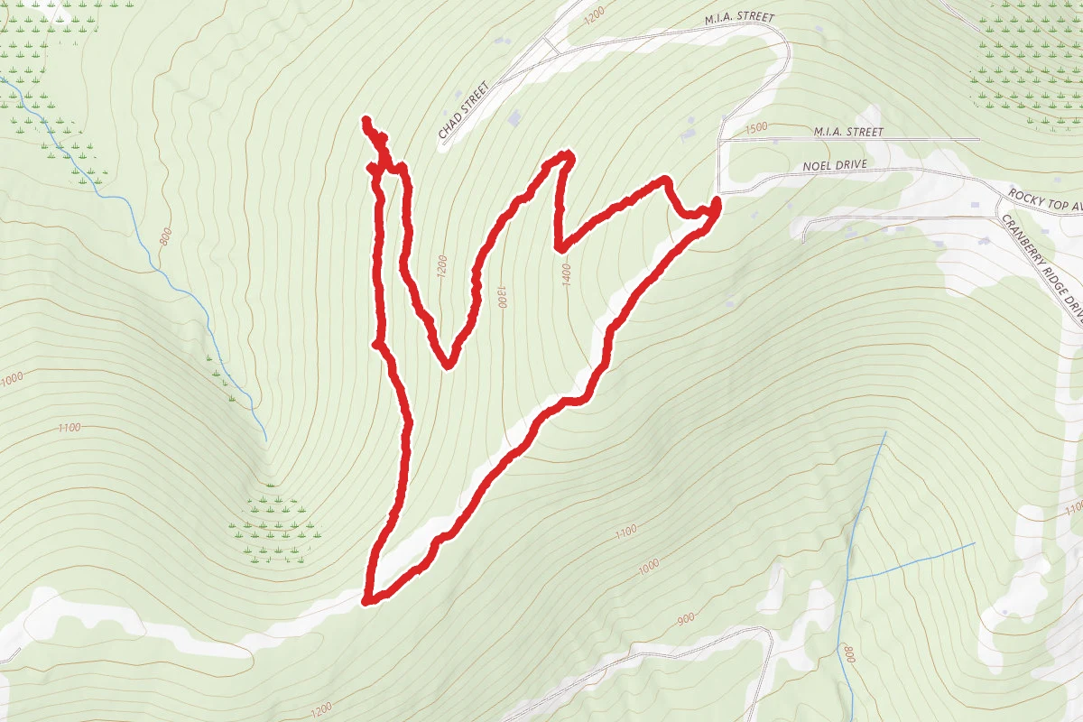 Skyline Ridge Park After Hours Trail