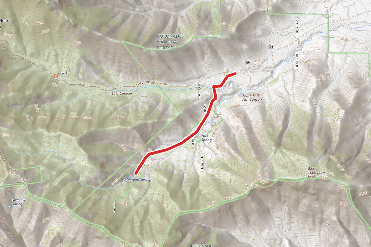 Ash Canyon Trail One Hundred Four