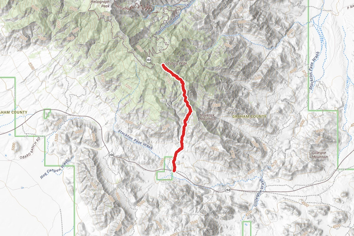 Ladybug Peak via Bear Canyon Trail #299