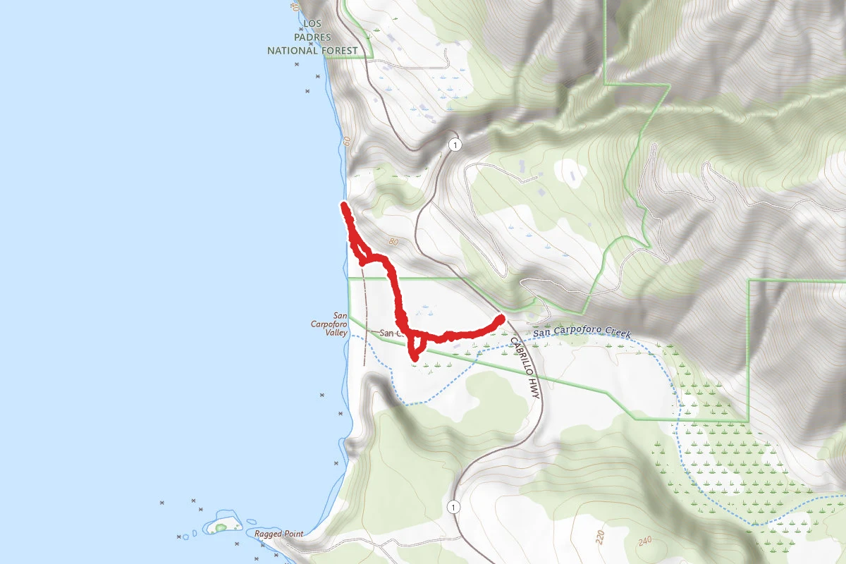 San Carpoforo Creek Trail
