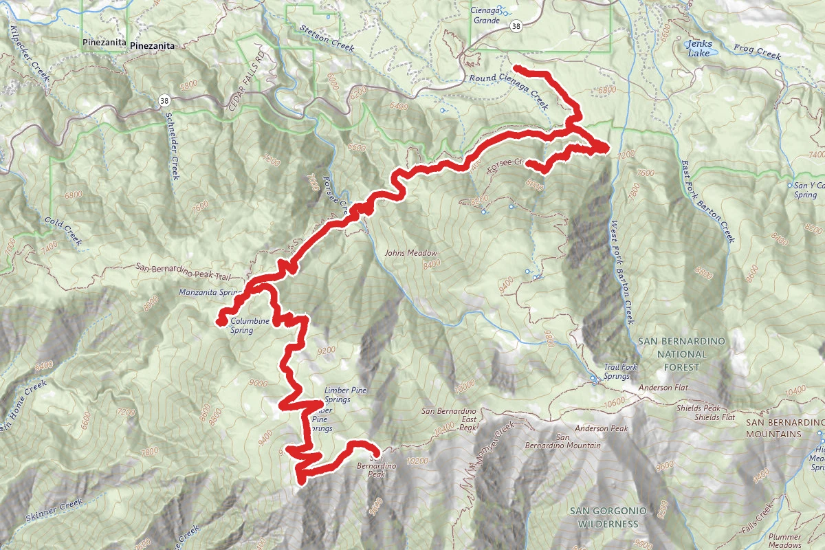 Forsee Creek, Limber Pine Bench, San Bernardino Peak