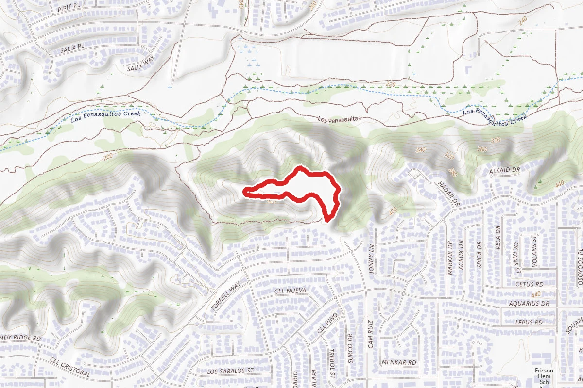 Camino Ruiz Loop