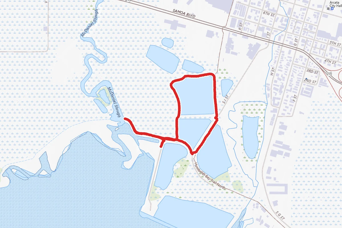 Gearheart Marsh and Brackish Pond Loop