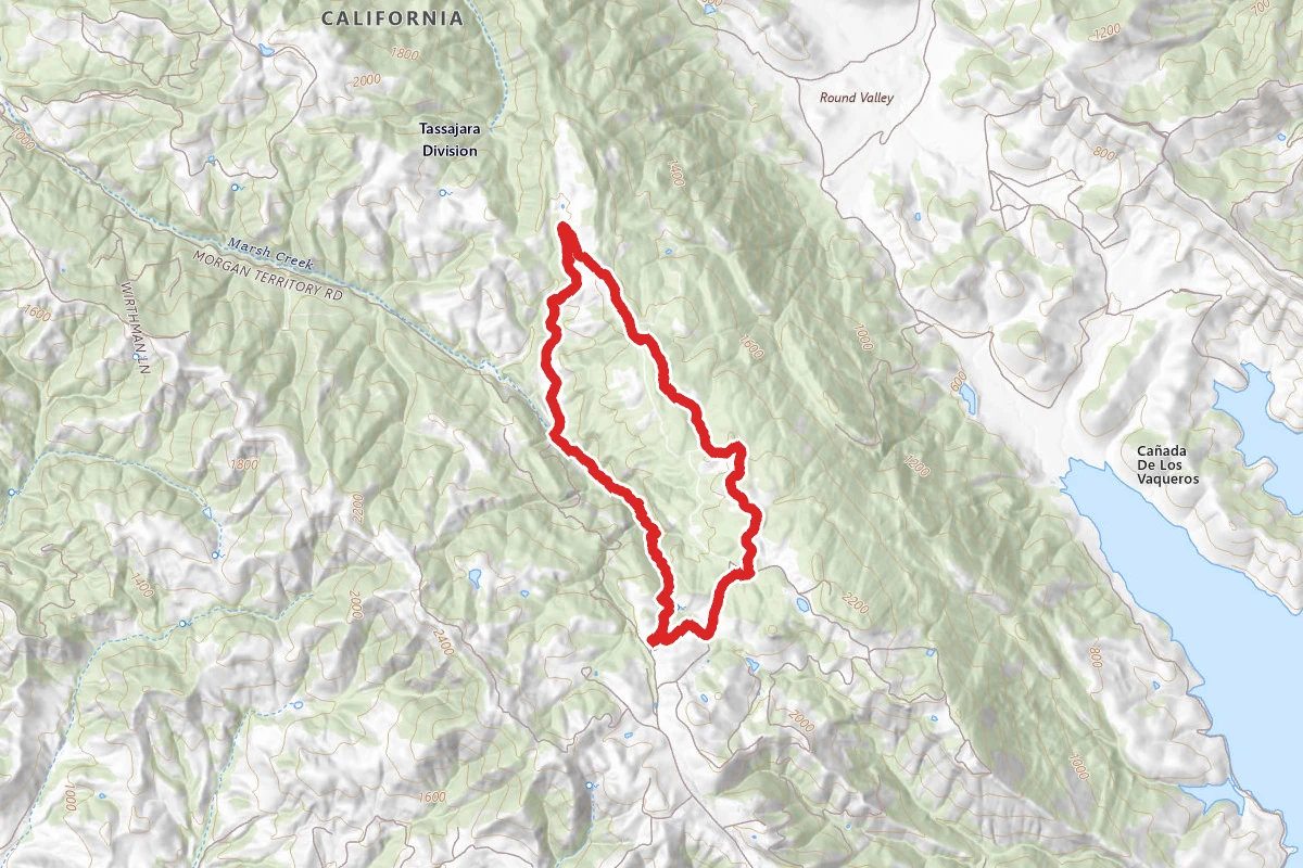 Blue Oak Trail to Volvon Loop Trail to Coyote Trail