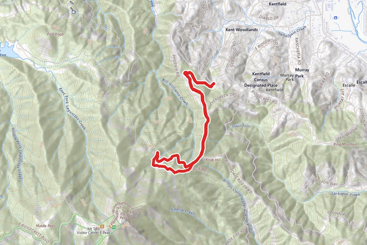 Windy Ridge and Indian Fire Trail