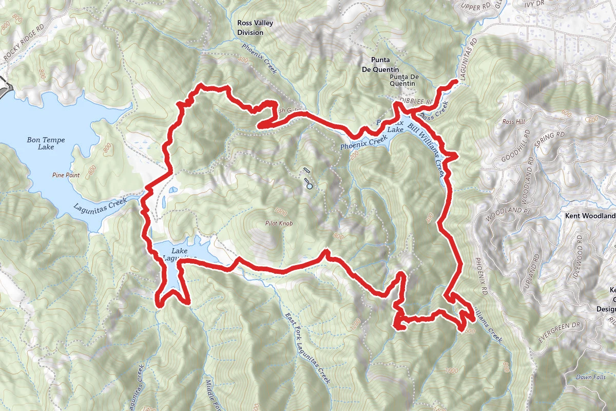 Lagunitas, Madrone, and Shaver Grade Trail Loop