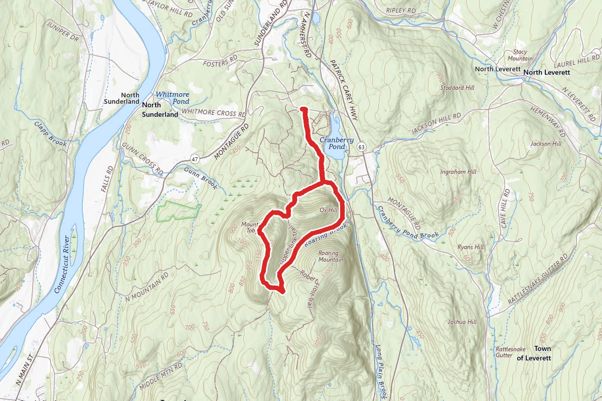 Mount Toby Trail