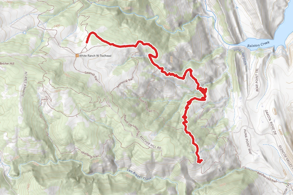 Longhorn Trail