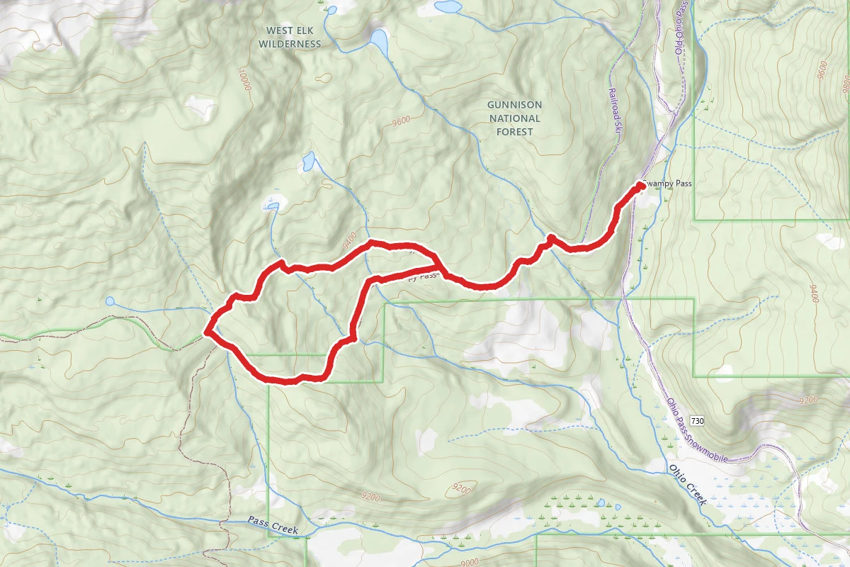 Swampy Pass Loop