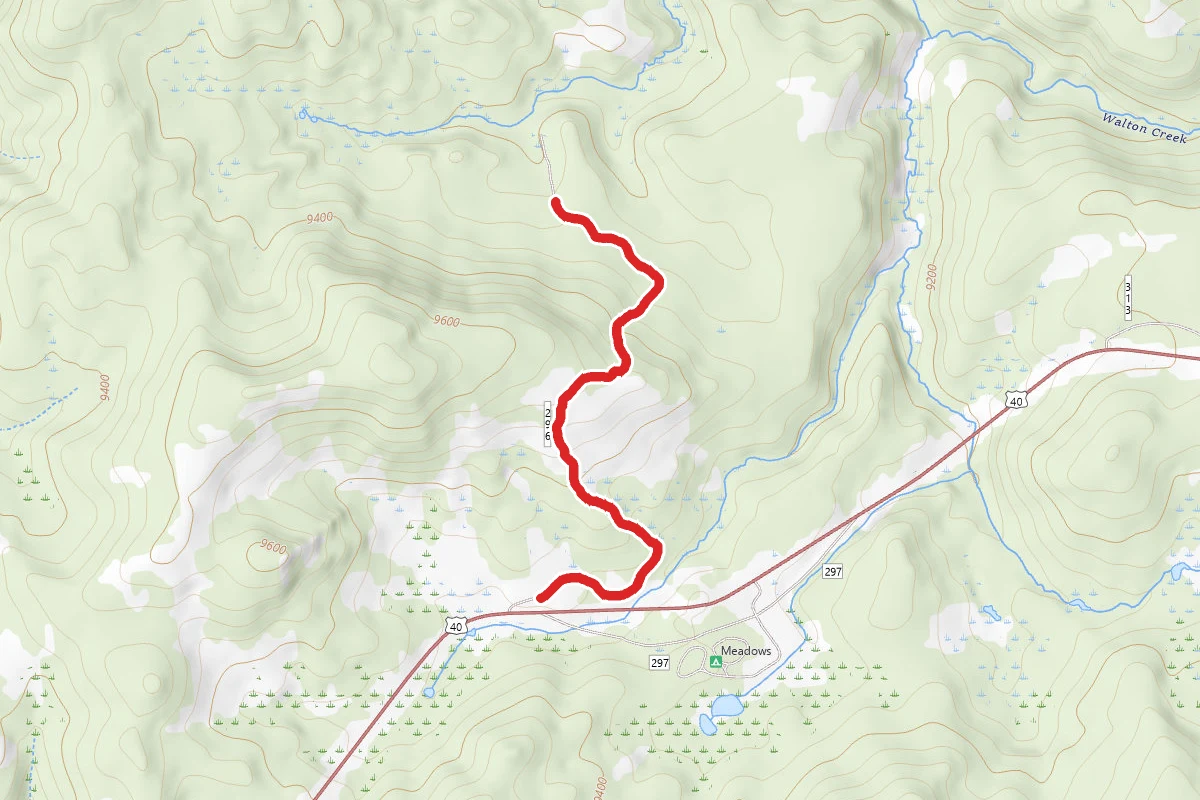 Bruce's Trail