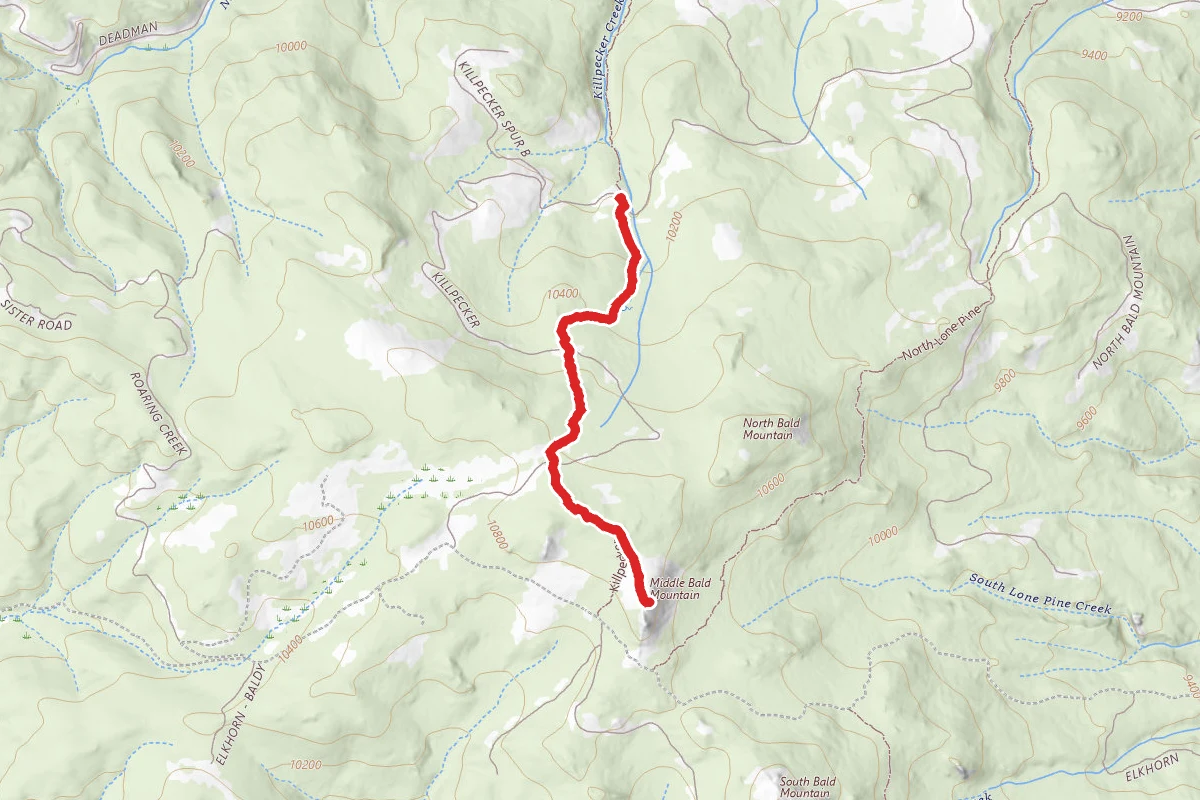 Middle Bald Mountain via Killpecker Trail