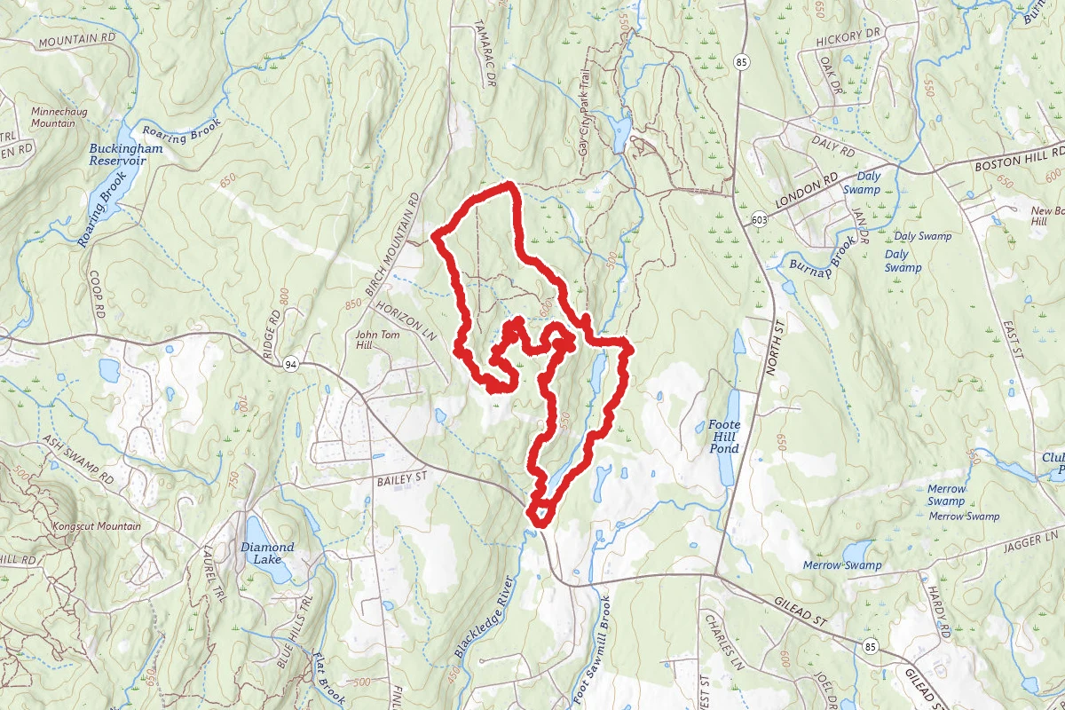 Red Blazes, Blue Blazes, and Blackledge Falls Loop