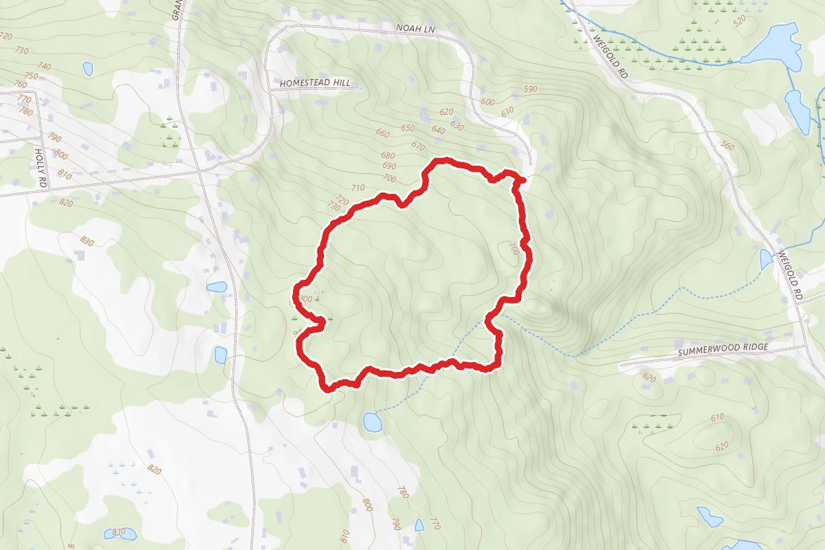 Tobiassen Memorial Forest Loop