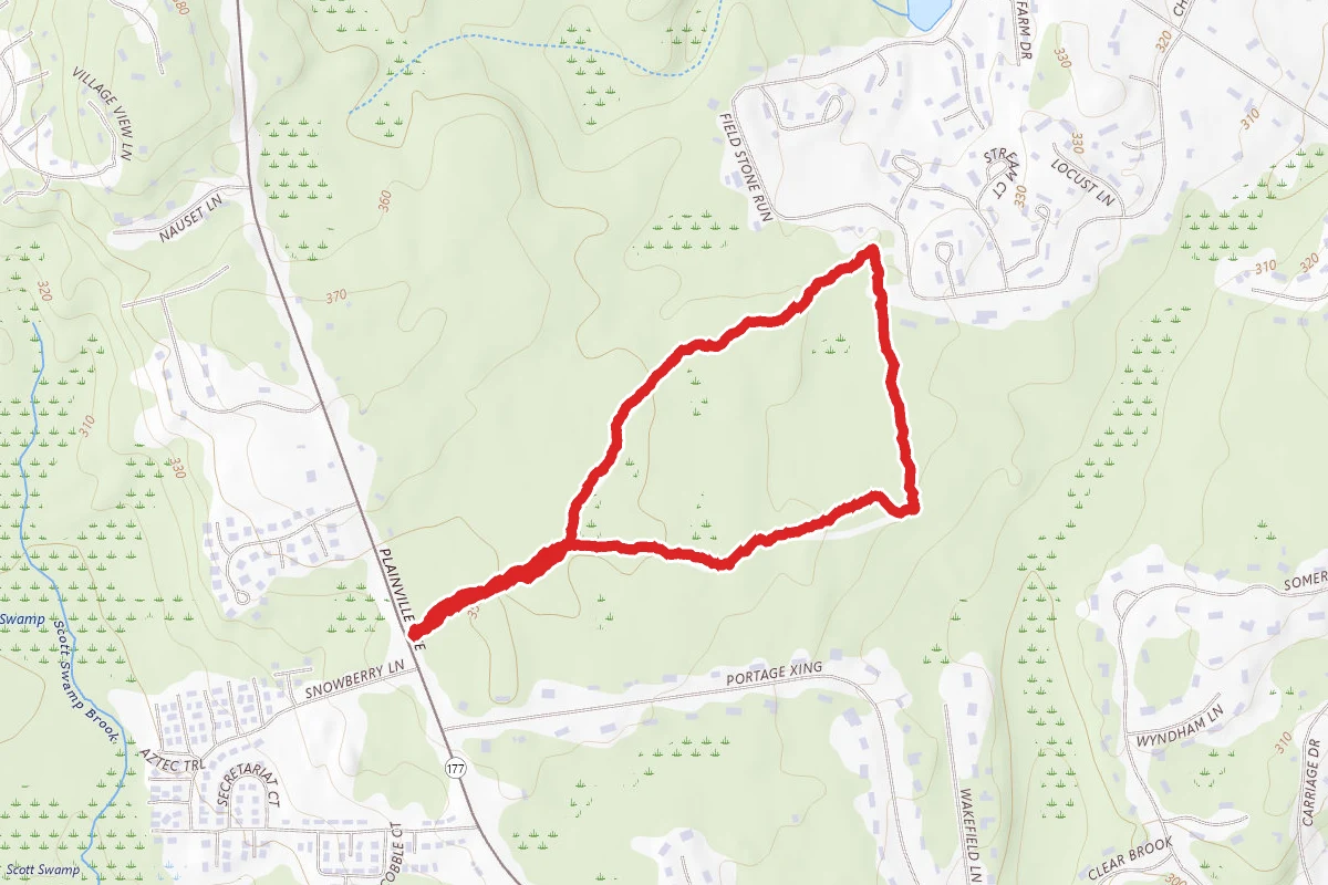 Farmington Memorial Forest White and Blue Loop