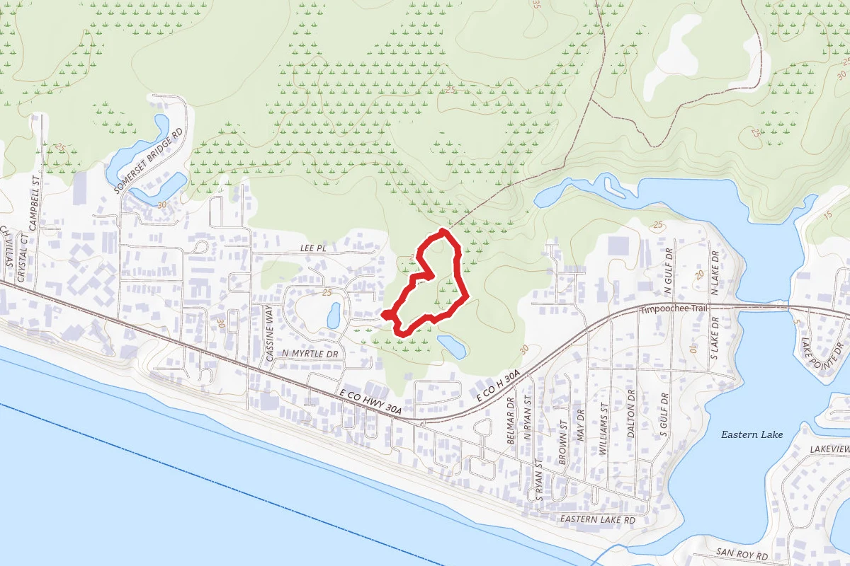 Cypress Street and Eastern Lake Trail
