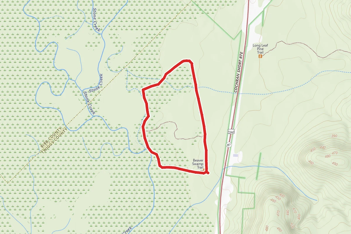Beaver Swamp Trail Loop