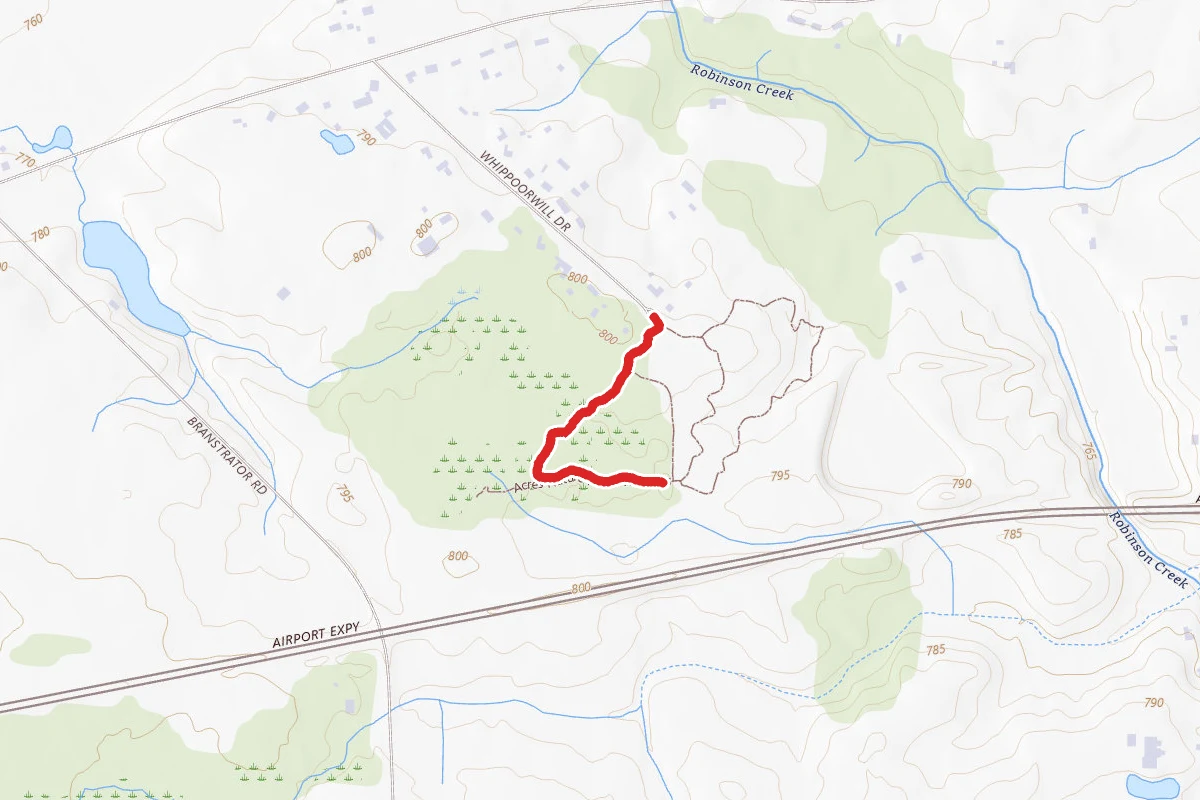 Fogwell Forest Nature Trail