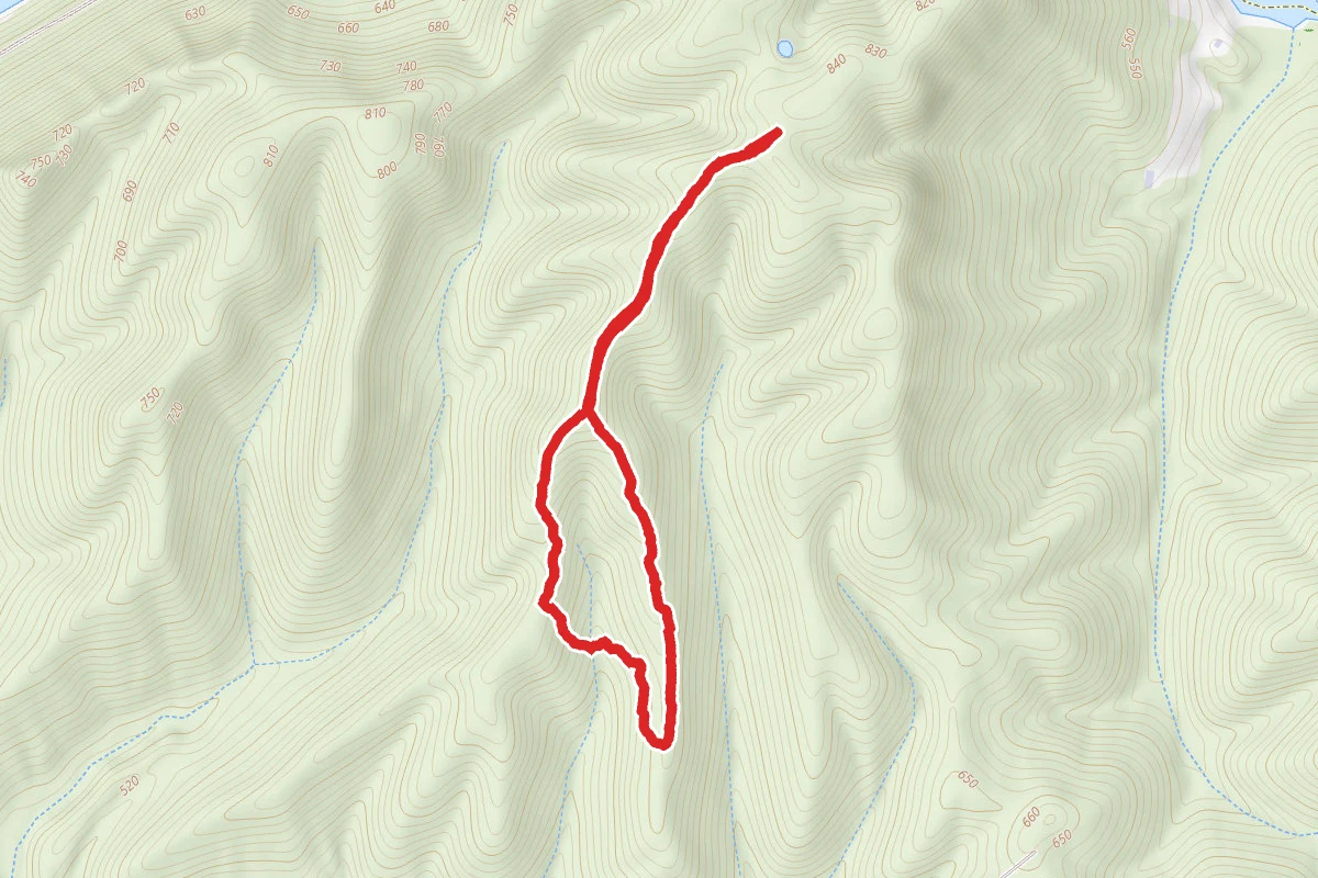 Stagger Ridge and Cedar Ridge Loop