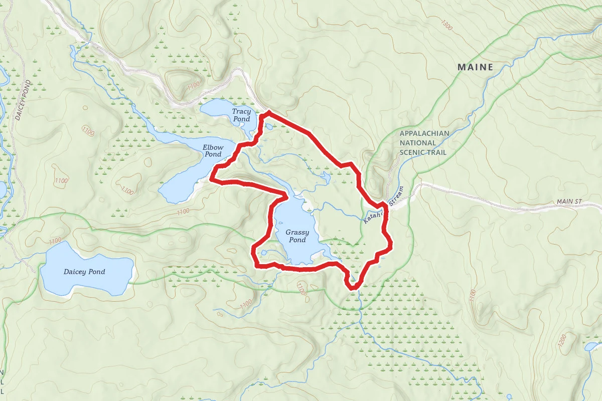 Grassy Pond Loop Trail