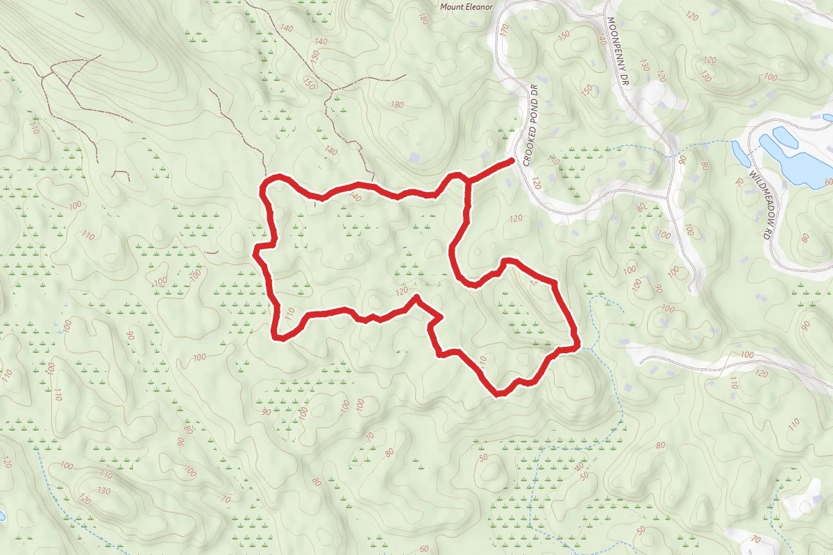 Wunnegen Conservation Area Loop