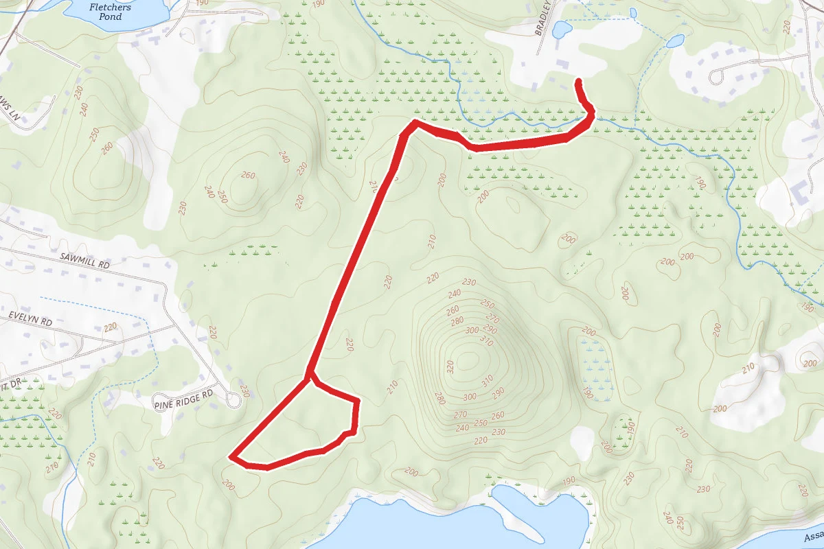 Stow Town Forest AT&T and Yellow Loop
