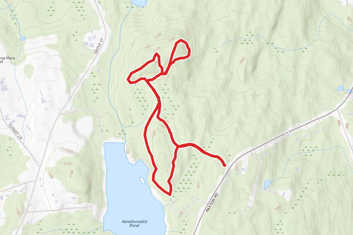 Porcupine Hill
