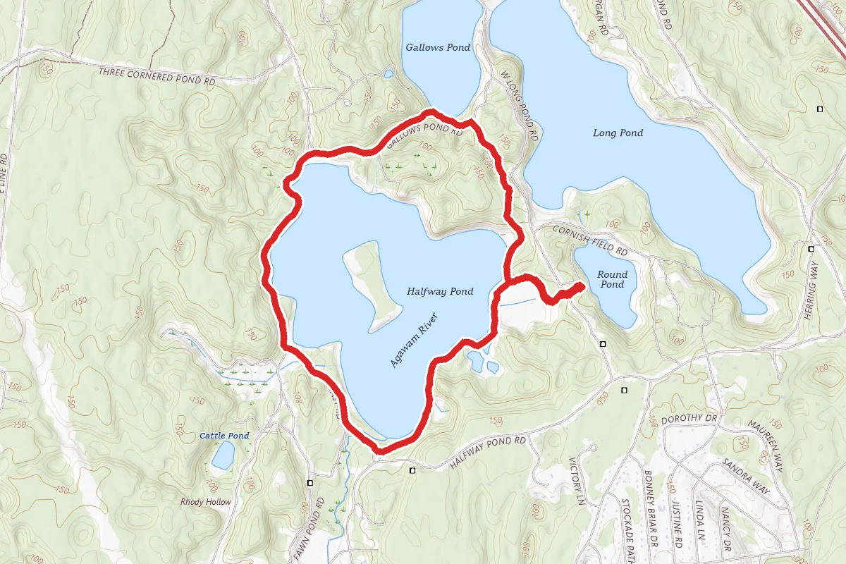 Betsy's Trail