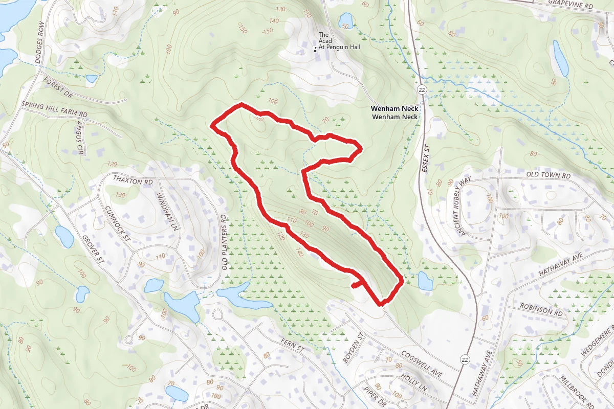 Long Hill and Main Loop Trail