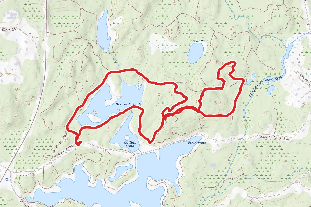 Walker Road Loop