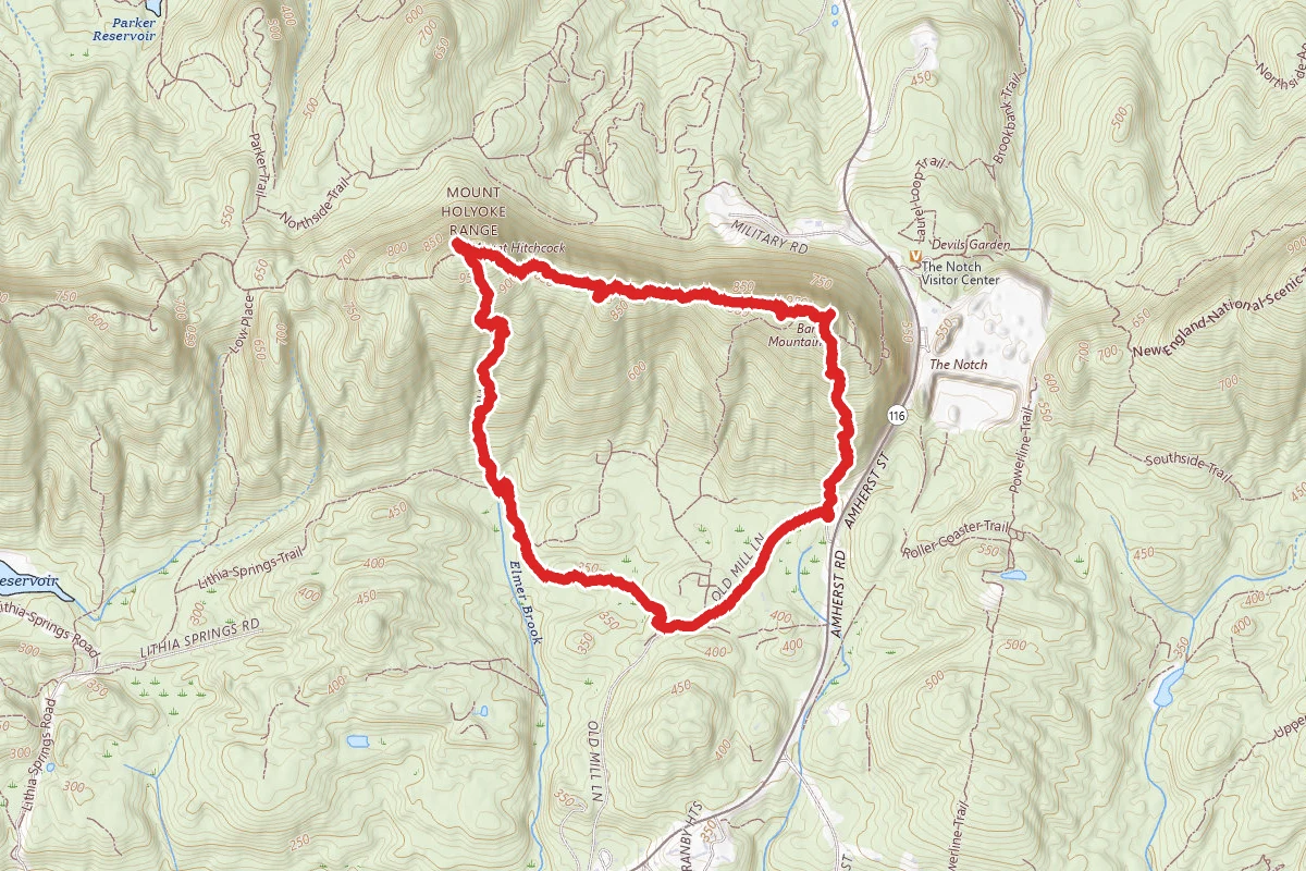 Bare Hitchcock Loop