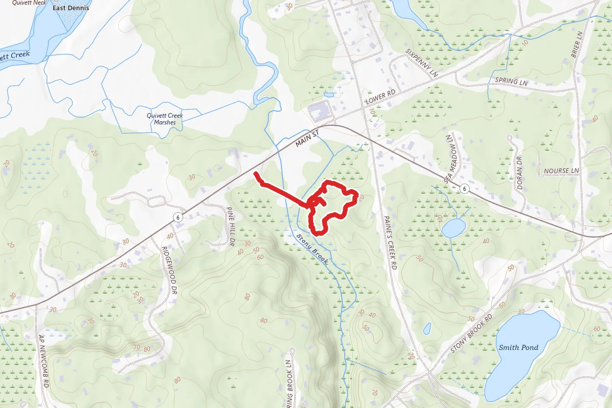 Lee Baldwin Loop