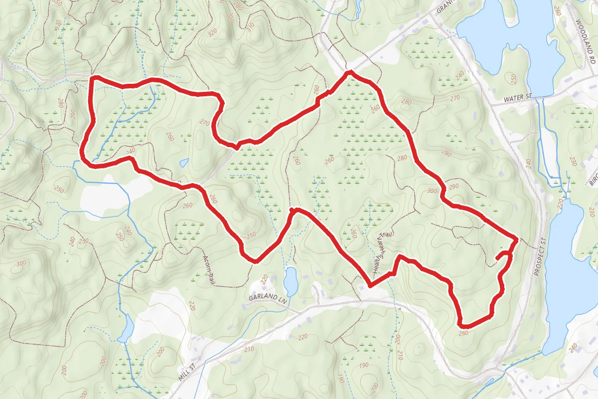 High Rock, Wolf Meadow and Tupelo Trail