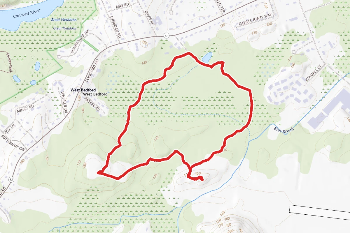Massport Designated Trail
