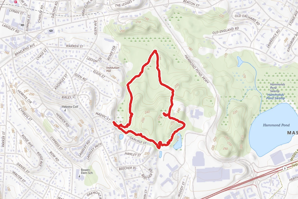 Bare Pond Loop