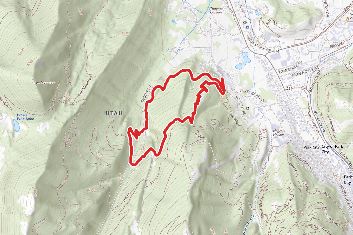 Armstrong Trail to Dawns Trail Loop