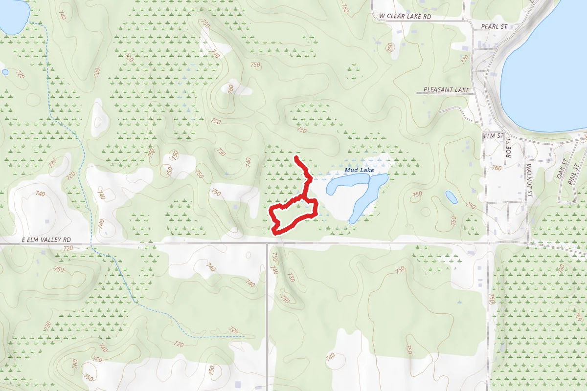 Mud Lake Bog