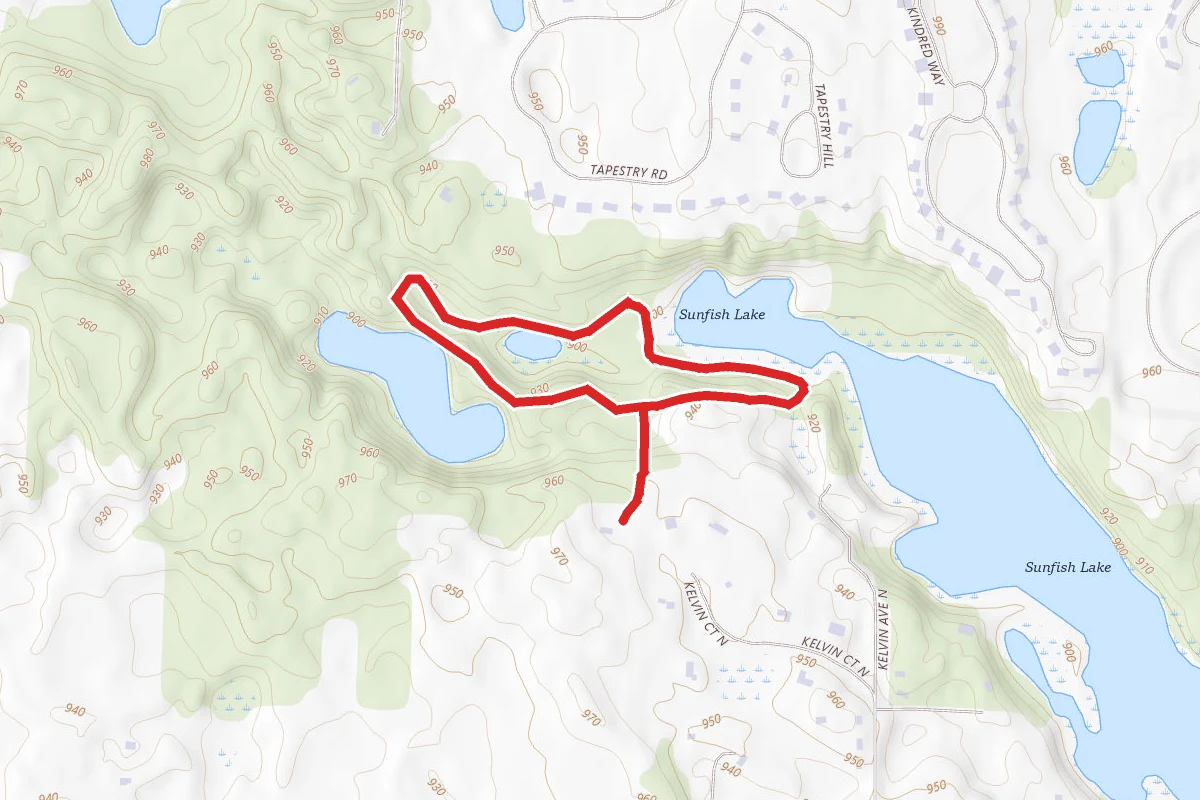Rabbit Trail