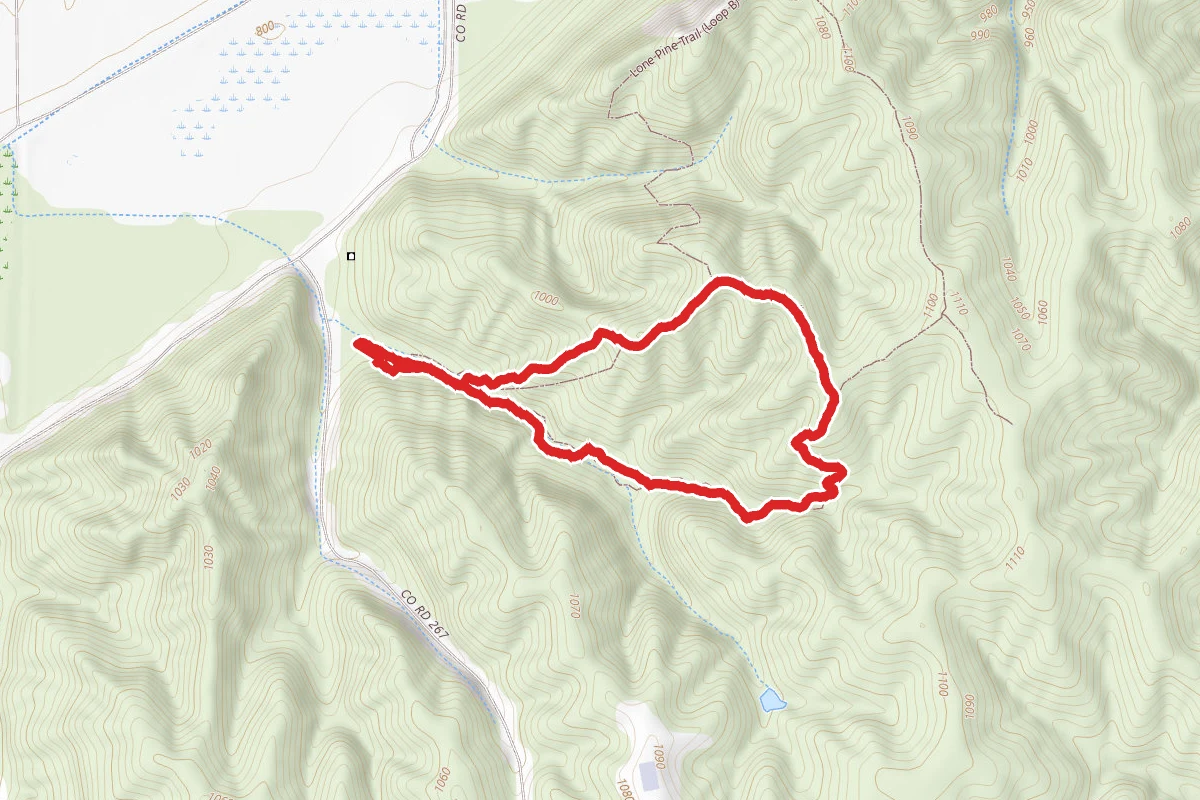 Bluffwoods Conservation Area Loop