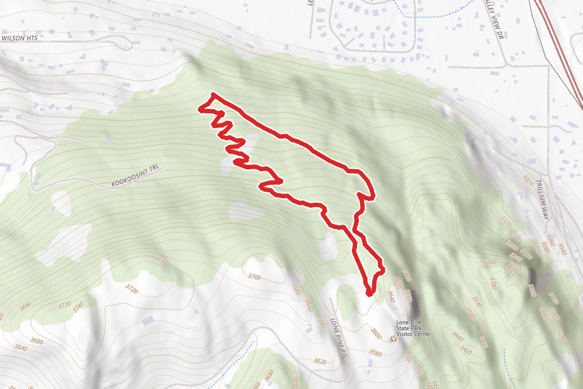 Western Larch and Lone Pine Trail Loop