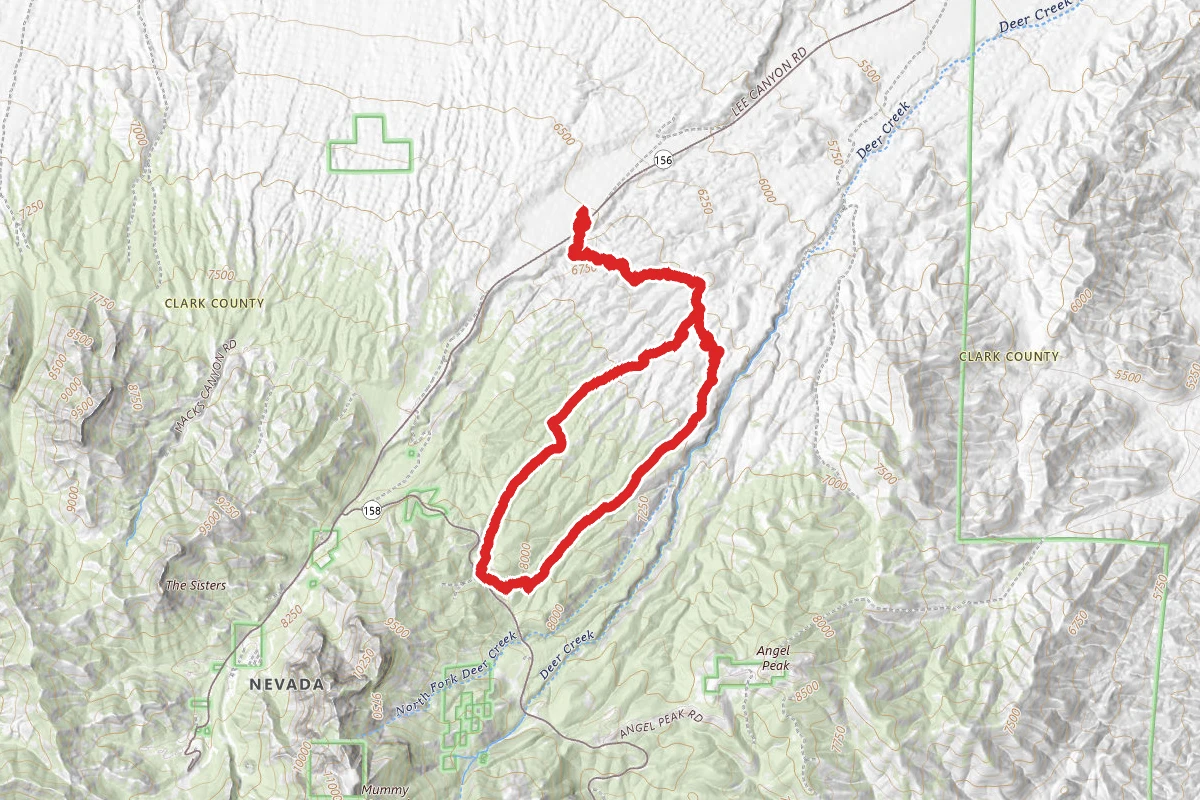 Deer Springs Trail